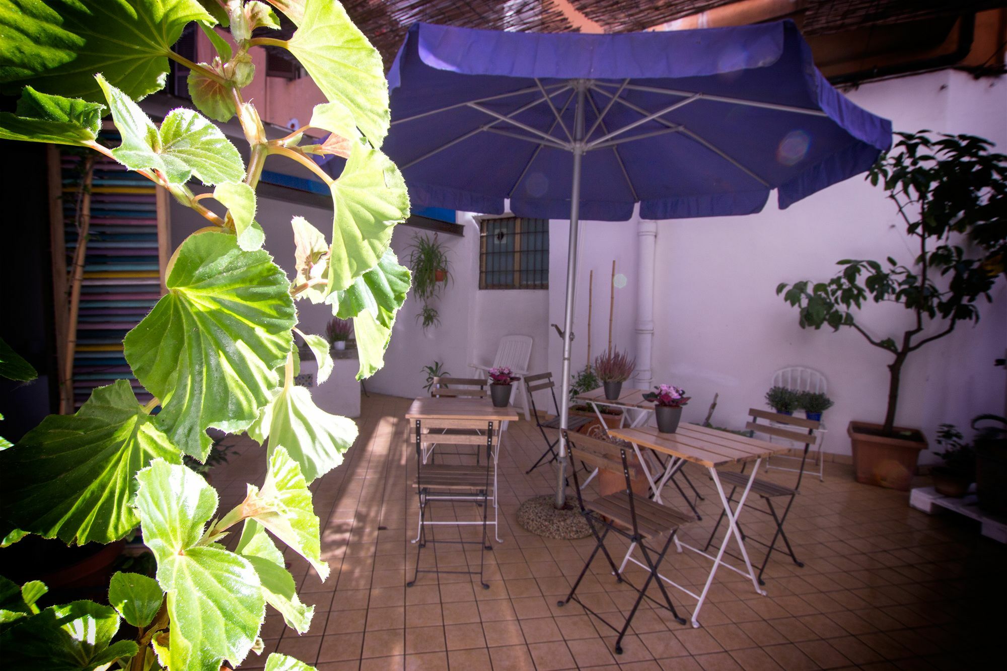 Hotel Casa Maplink Roma Esterno foto